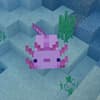 Lazzzielll_the axolotl avatar