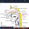 WieldyAstronomy avatar