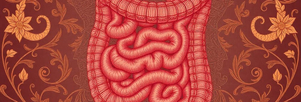 Constipation, Diarrhea, and Irritable Bowel Syndrome