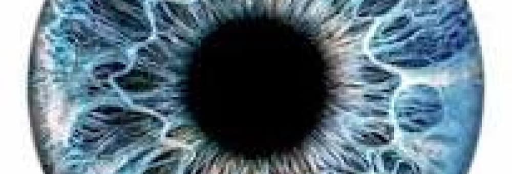 Ocular Anatomy 2 Exam 1