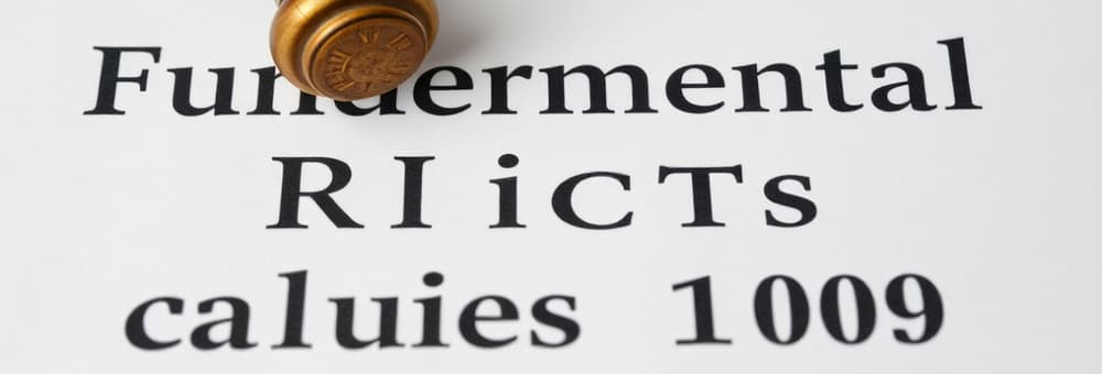 Derechos Fundamentales en España