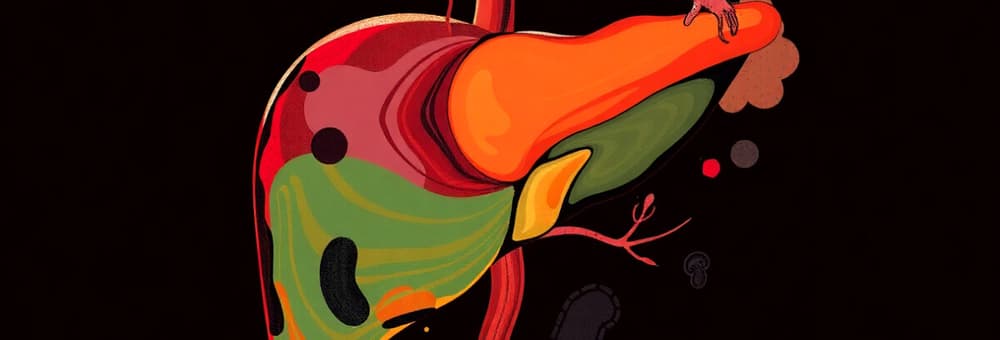 44 + 45. Histology - Microanatomy of the Liver, Gallbladder & Pancreas