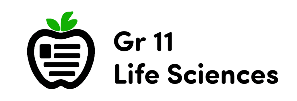 Life Sciences November Exam P1 (Medium)