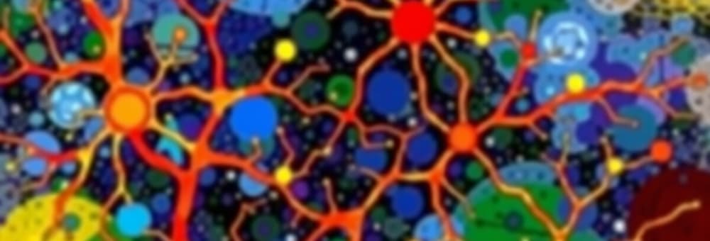 The Nervous System: Divisions and Cell Types