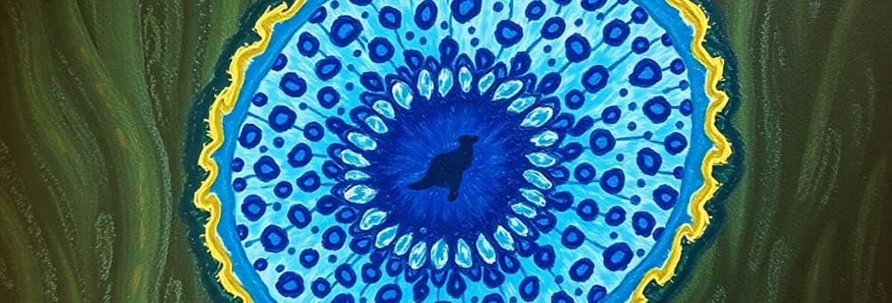 Biology Cell Structure and Function Quiz