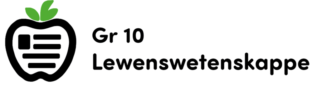 Lewenswetenskap: November Vraestel 2 Maklik