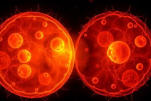 Mitosis Stages Quiz