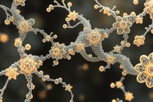 RNA Dependent-DNA Polymerase and cDNA Synthesis