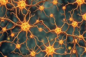 Neurons and Nervous Systems