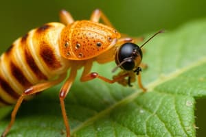 1 Ciclos Parasitarios y Acciones en el Hospedero