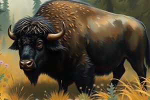 A Curious Buffalo Story Quiz