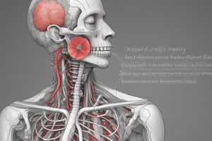 Respiratory System: Mucous and Serous Secretory Functions