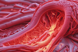 Arteriosclerosis and Atherosclerosis Overview