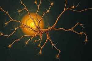 Nerves, Sensation, and Sensory Receptors
