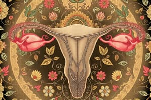 Human Reproductive System Quiz