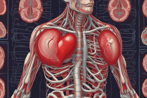 Anatomy of the Heart