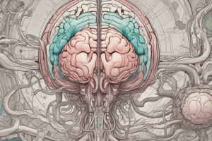 Pressure inside the Skull: CSF and Ventricles