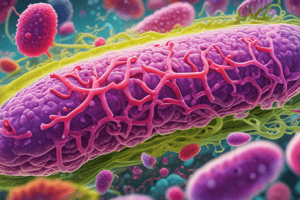 Salmonella Characteristics Quiz