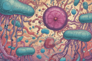 Bacteriology exam prep: Klebsiella, Campylobacter, Yersinia, Helicobacter