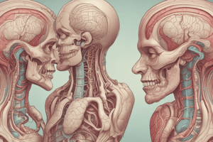 Large Intestine Anatomy Quiz