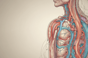 Urinary System Functions