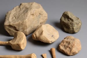 Early Human Understanding of Science and Stone Age Tools