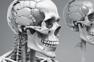 Interpretation of Radiographs - Jarrod Smith, DPM, FACFAS