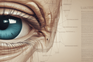 Blinking Mechanism and Tear Film Dynamics