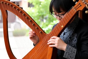 The Pipa: A 2000-Year-Old Chinese Instrument