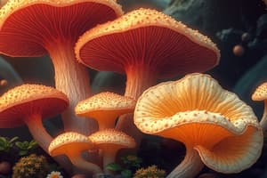 Overview of Fungi