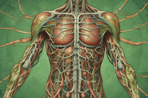 lymphatic and endocrine