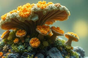 Lichens and Fungi Quiz