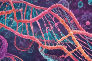 E. coli DNA Replication Origin