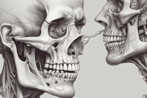 Pterygopalatine Fossa Connections