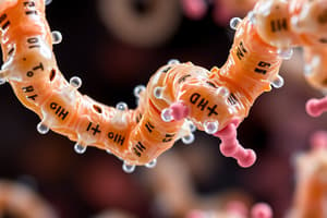 Enzyme Characteristics and Binding Sites