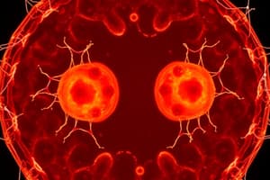 Mitosis Overview and Phases