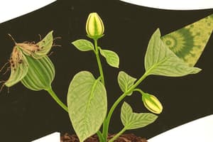 Plant Growth and Development: An Overview