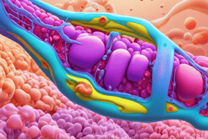 Insulin Secretion Pathway Quiz