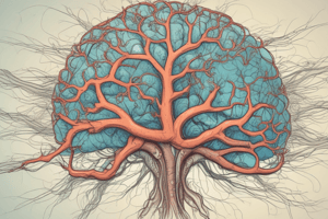 Central Nervous System: Structure and Function