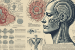 Receiving Mechanism of Sense Organs