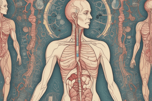 Endocrine System Summary