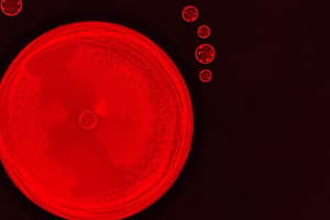 Abnormal Morphology of Red Blood Cells