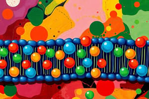 Cell Membrane Structure Quiz