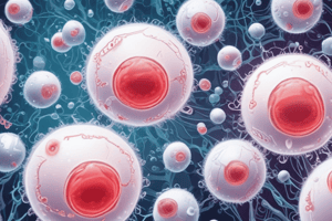 White Blood Cells: Lymphocytes and Phagocytes