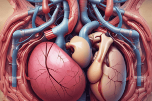 Kidney Macroscopic Anatomy Quiz