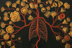 Gas Exchange Mechanisms in Organisms