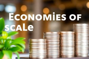 Economies of Scale and Scope Overview