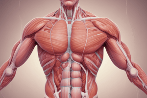 Muscle Physiology Lecture 5: Smooth Muscle