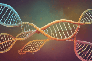 Mitochondrial DNA Overview