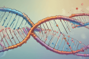 DNA Replication: Lead and Lag Strands